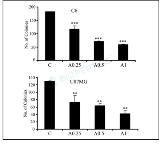 AICAR 50mg image 2